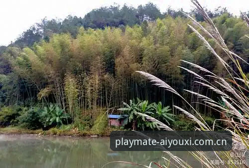 品牌态度呼应区间注册频道 老玩家亲述:品牌态度呼应区间注册频道这潭水,我替你们蹚过了